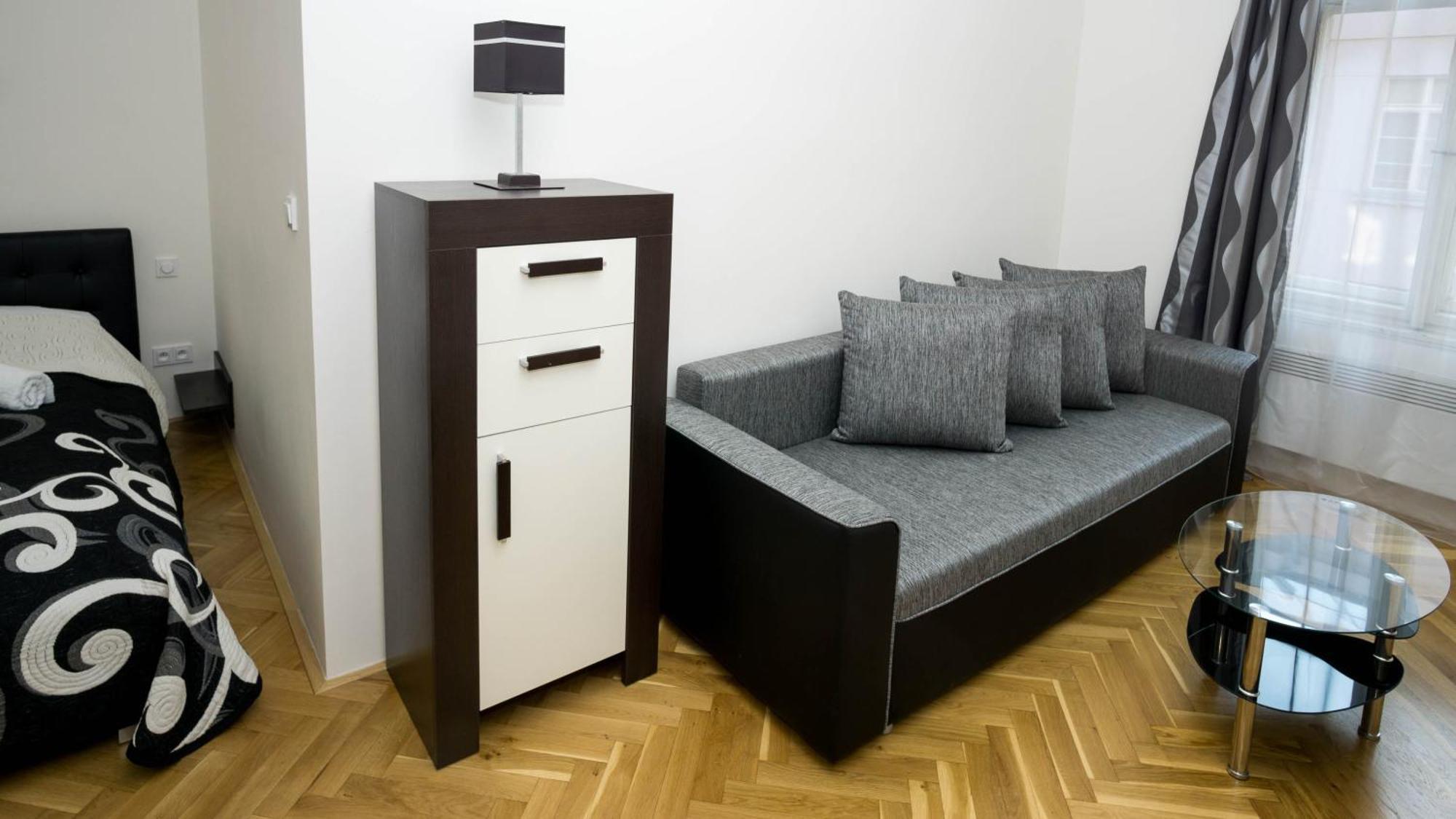 Black & White Apartment Prague By Wenceslas Square And Muzeum Phòng bức ảnh