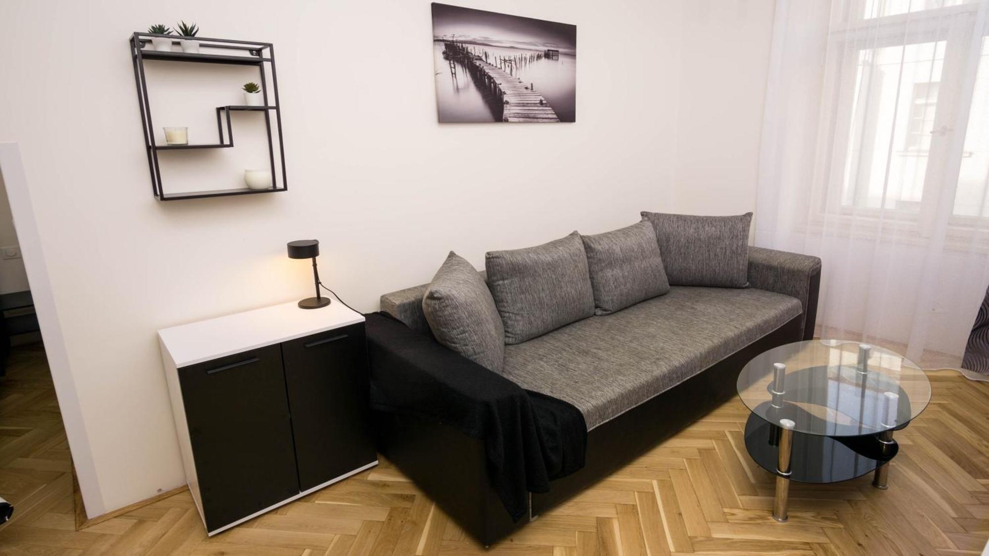 Black & White Apartment Prague By Wenceslas Square And Muzeum Phòng bức ảnh